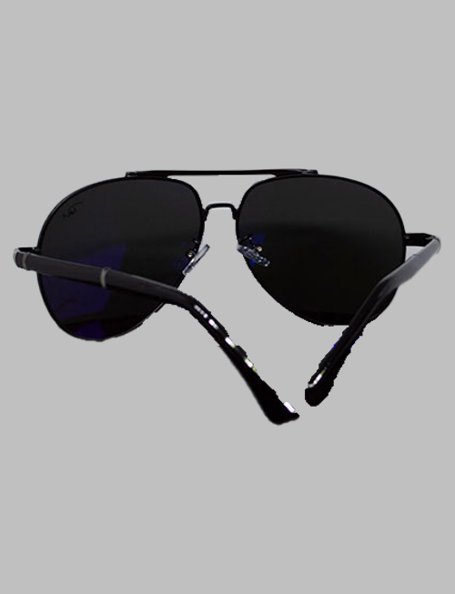 C4 Aviators Back